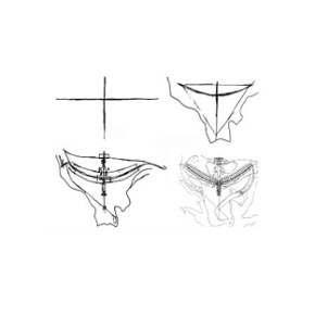 O PPCUB EM REVISÃO E O MONITORAMENTO DA&nbsp;SOCIEDADE